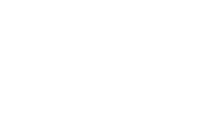 Mandarina icon